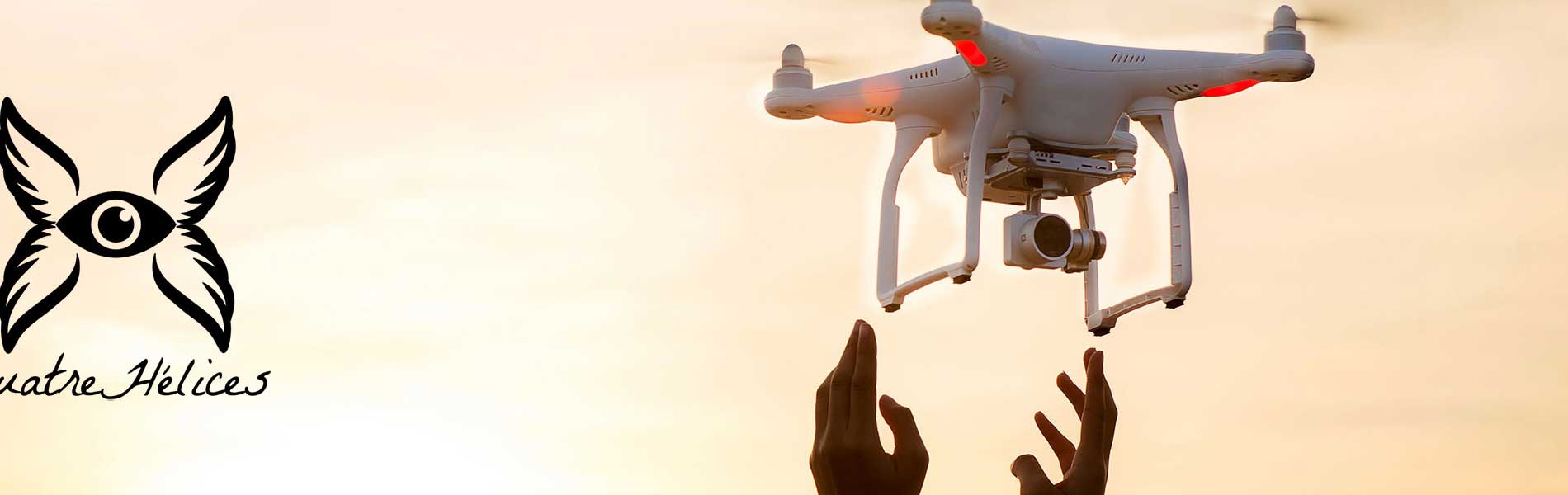 Drone professionnel surveillance Pélissanne (13330)