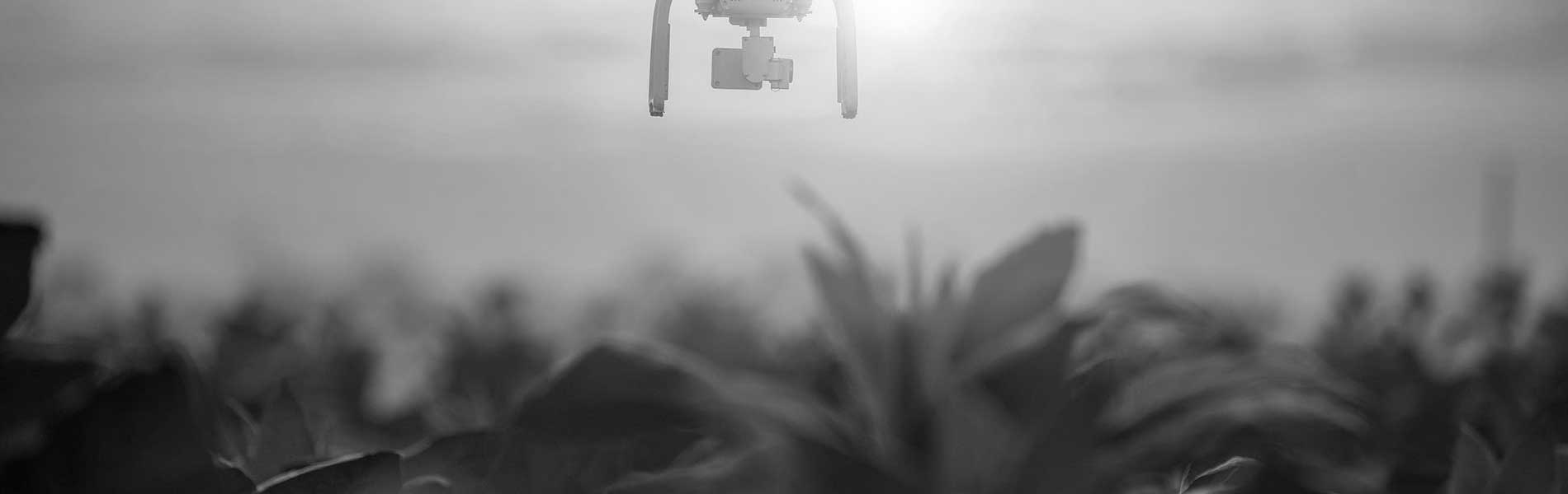 Photo par drone prix Tarascon (13150)