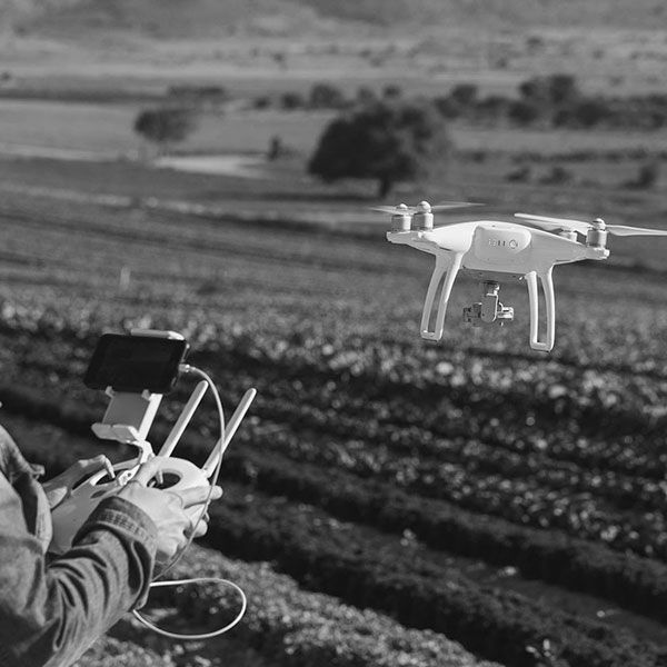 Vue du ciel drone